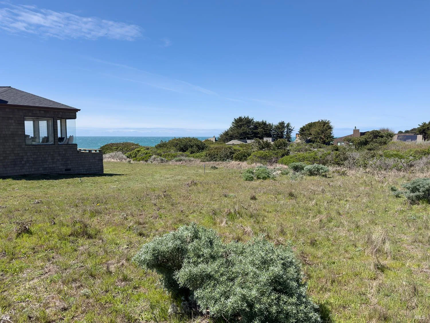 36910 Green Cove Drive - Photo 4