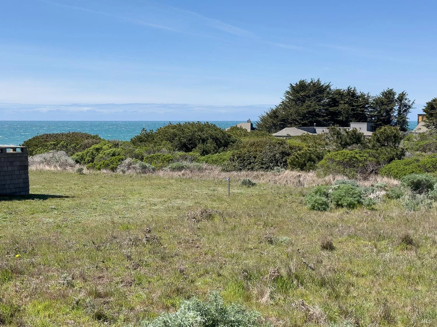 36910 Green Cove Drive - Photo 5