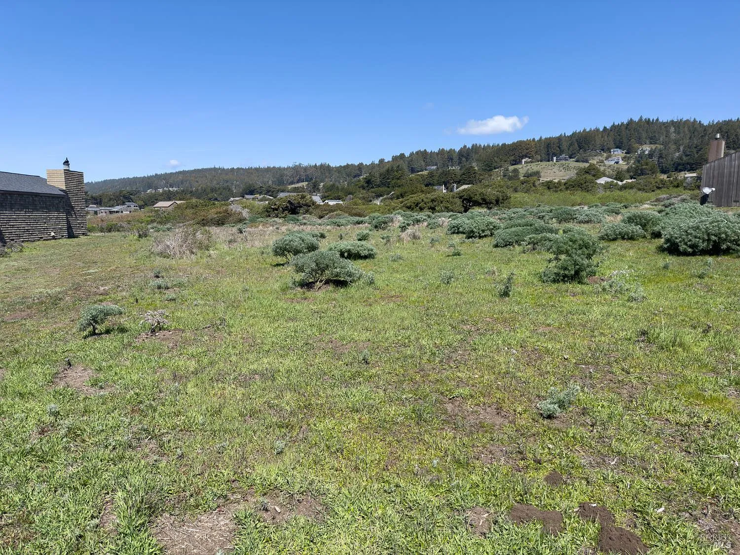 36910 Green Cove Drive - Photo 6