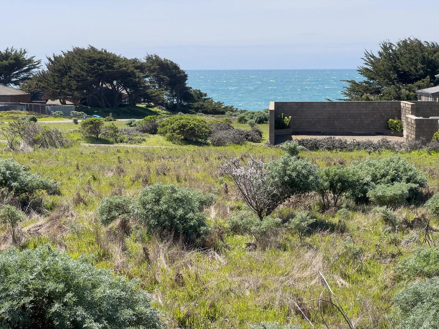 36910 Green Cove Drive - Photo 8