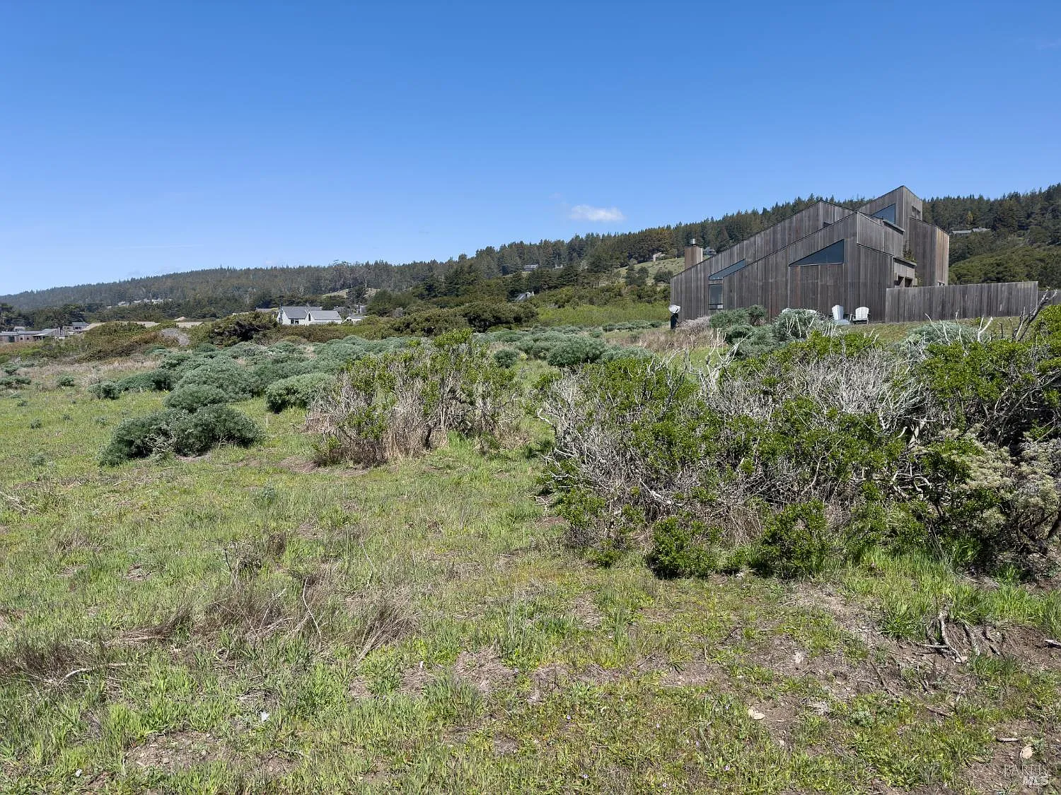 36910 Green Cove Drive - Photo 9
