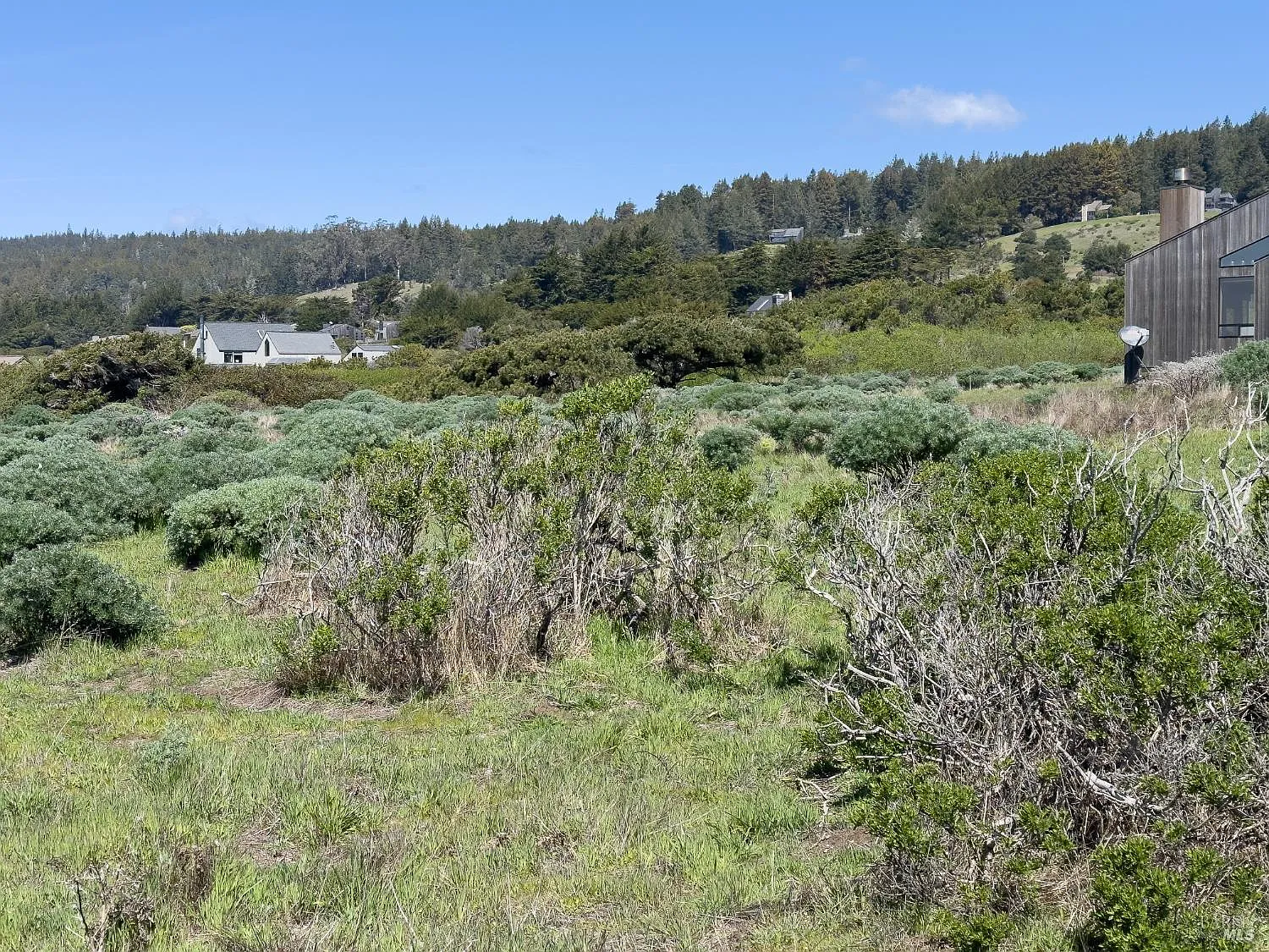 36910 Green Cove Drive - Photo 10