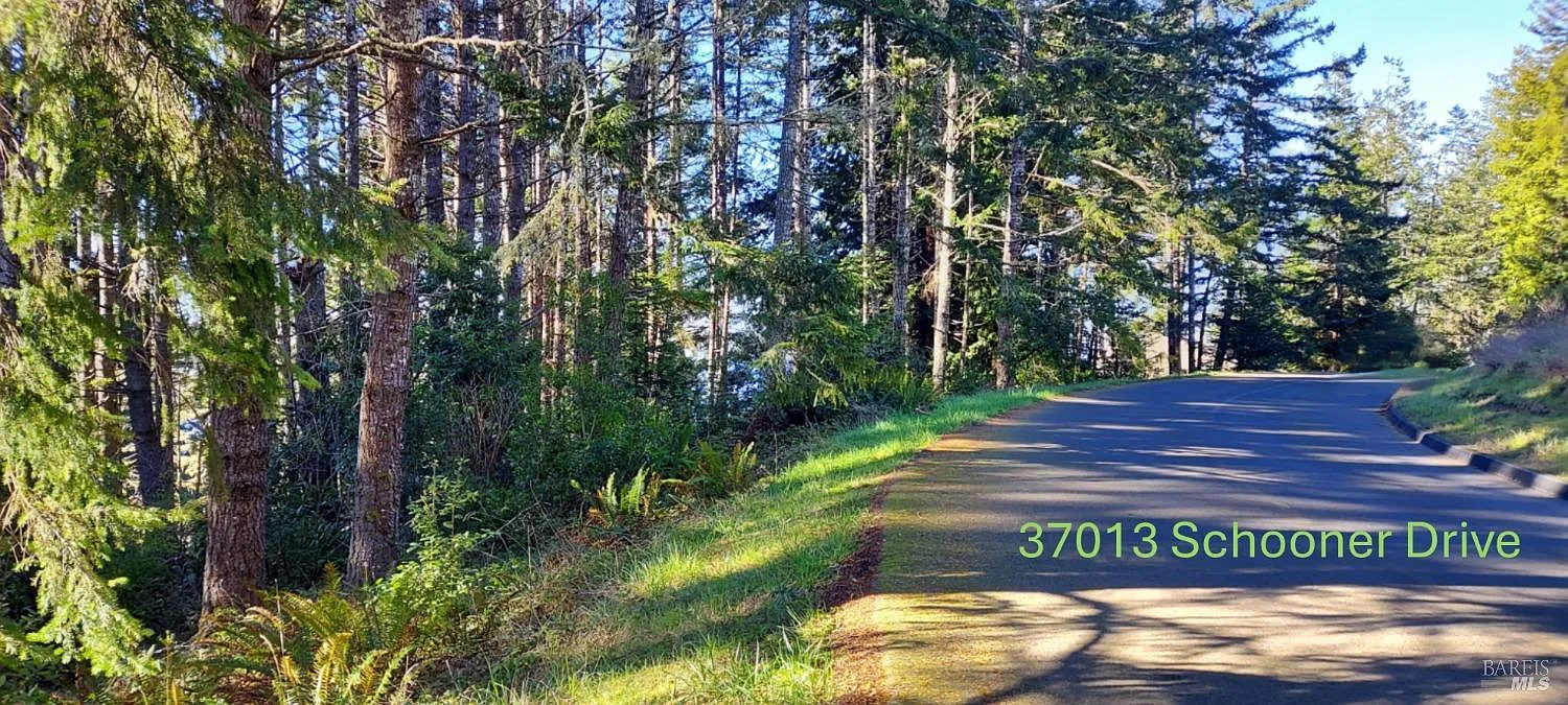 37013 Schooner Drive - Photo 1