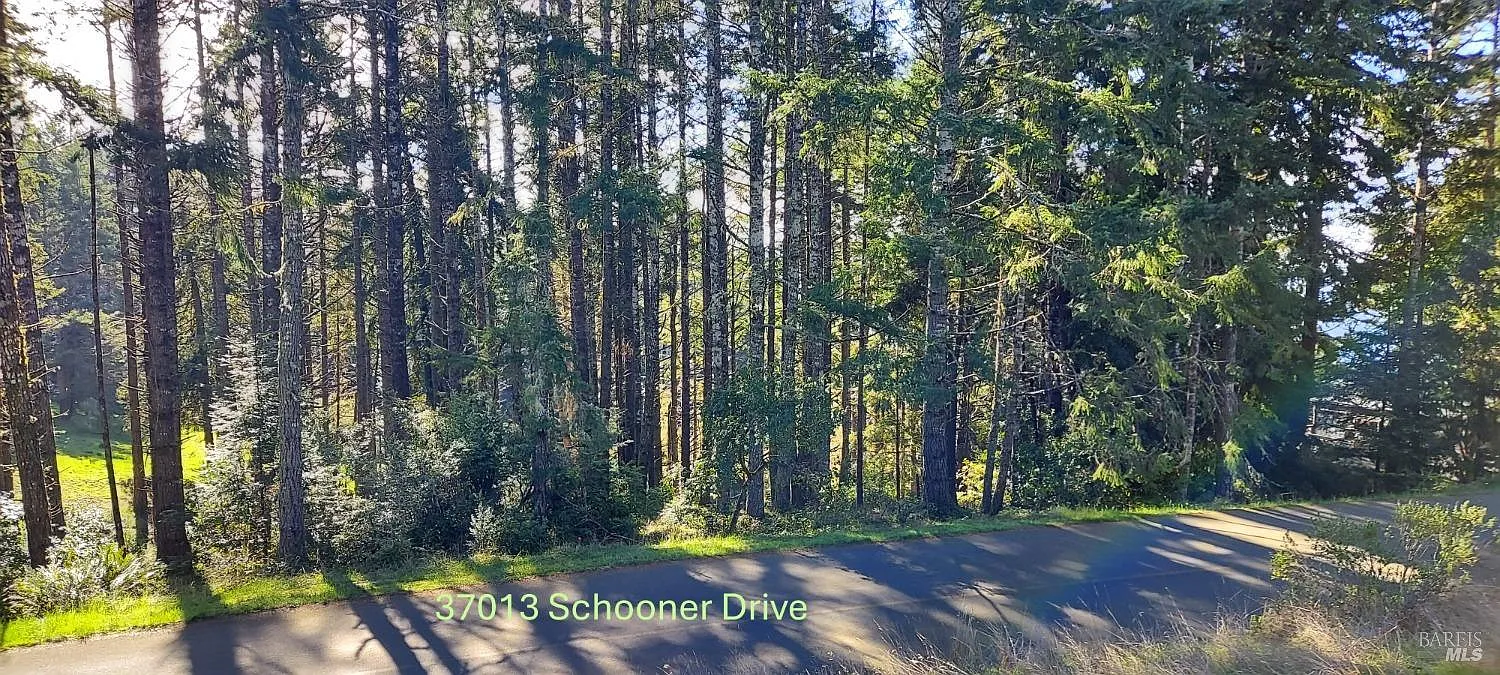 37013 Schooner Drive - Photo 4