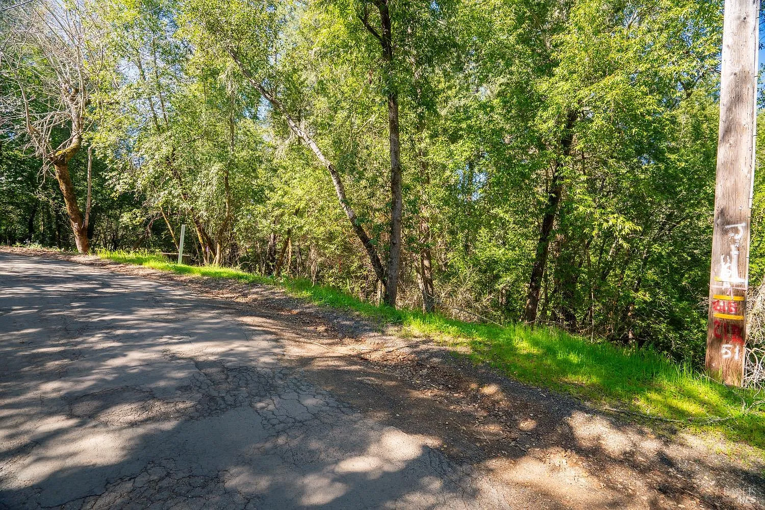 10608 Canyon Road - Photo 1
