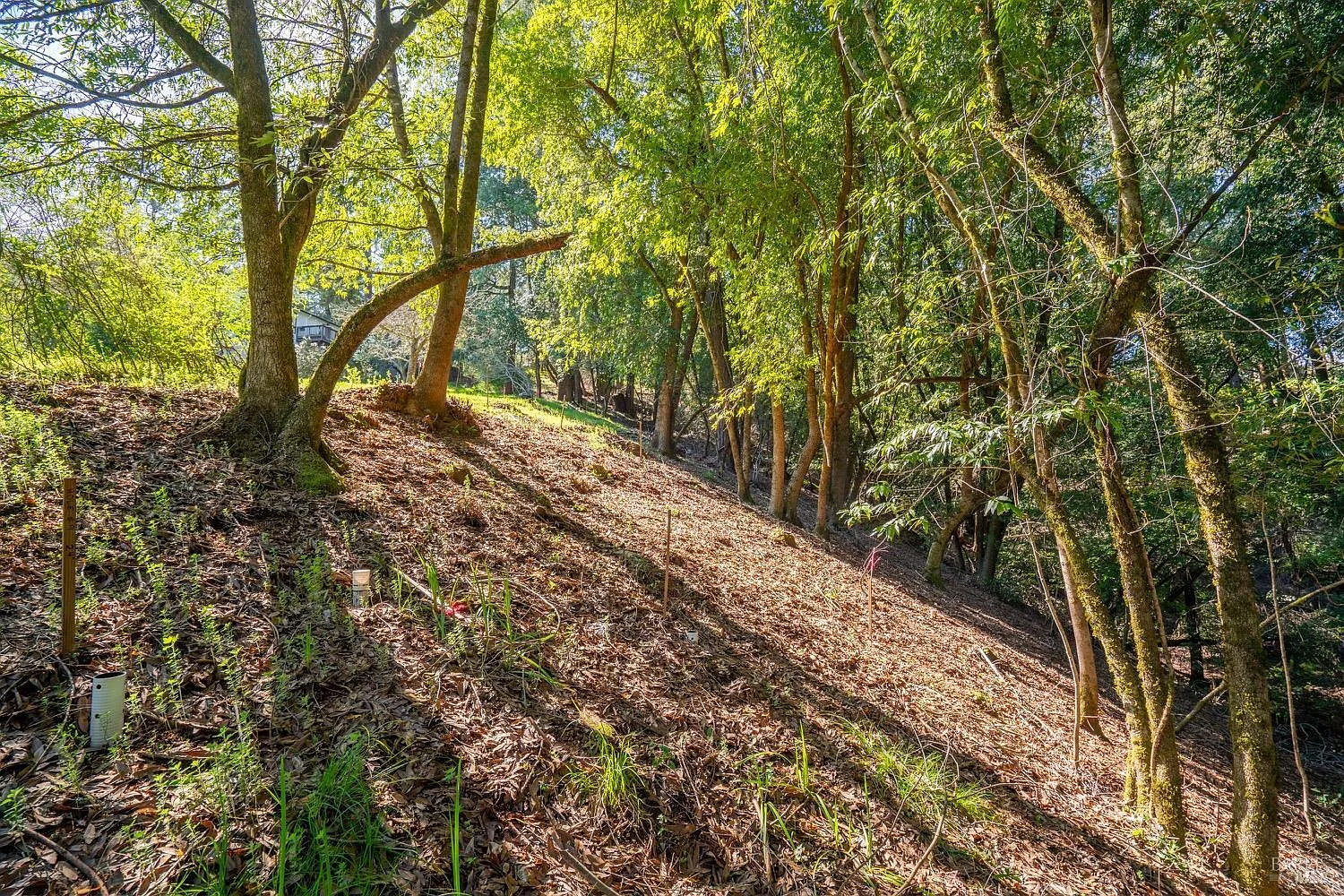 10608 Canyon Road - Photo 5